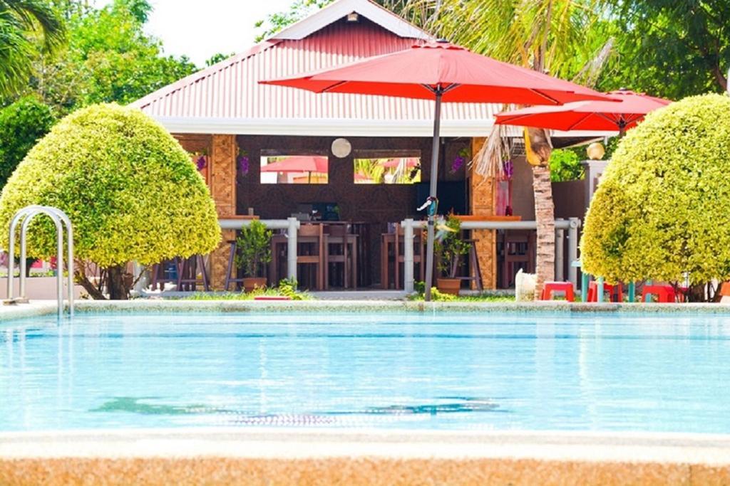 Alona Studios Apartment Hotel Panglao Exterior photo